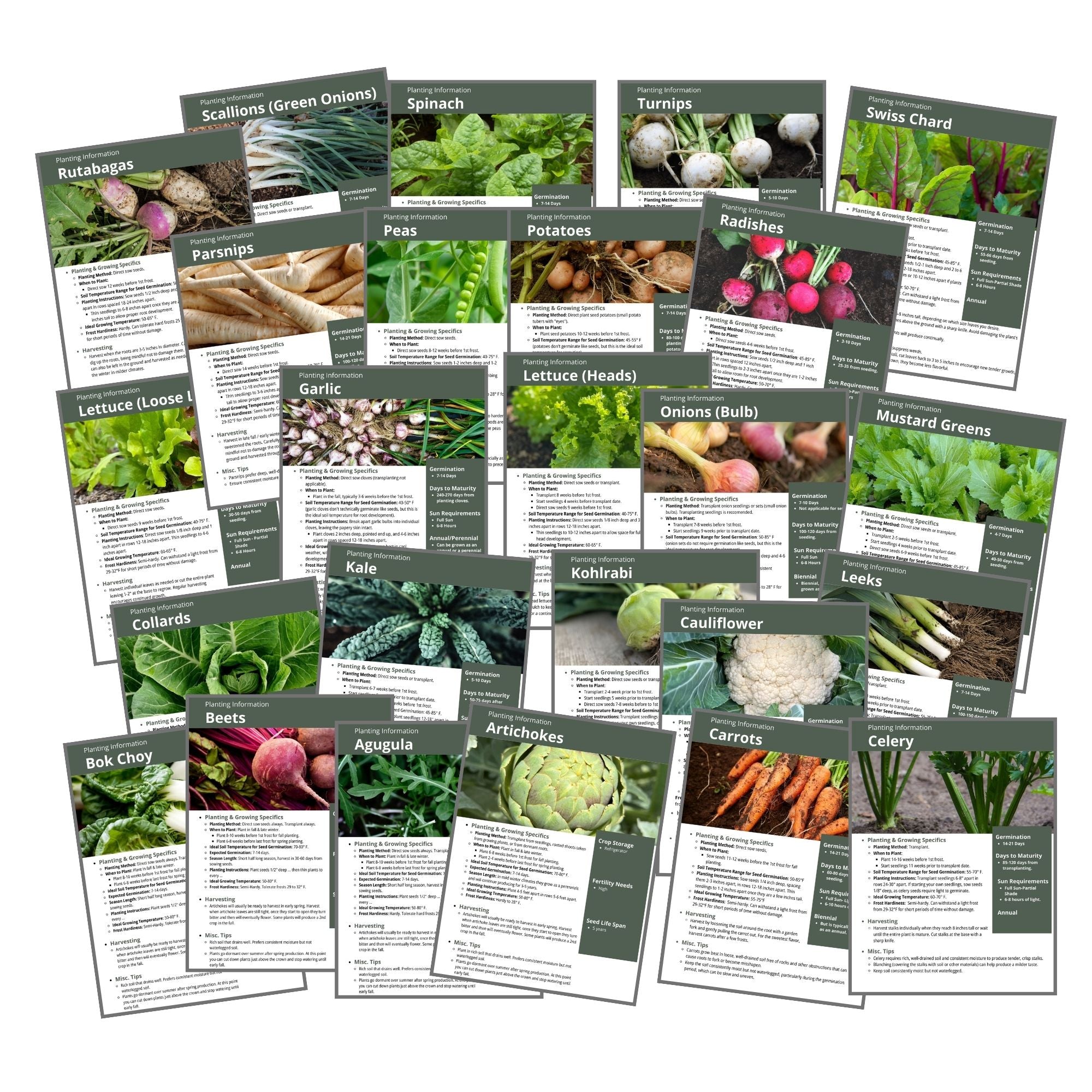 Fall Garden Guide