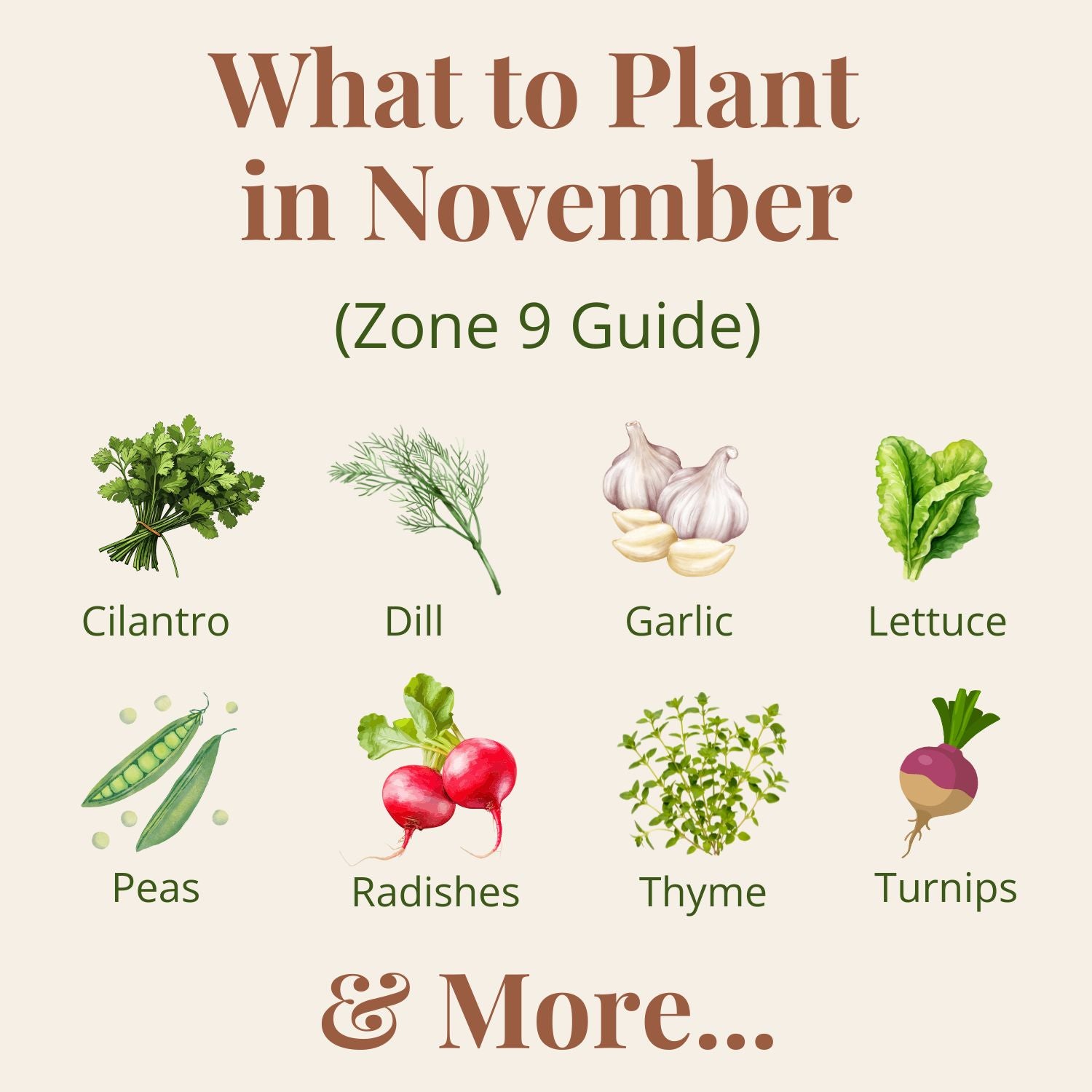 November - Zone 9 Planting Guide