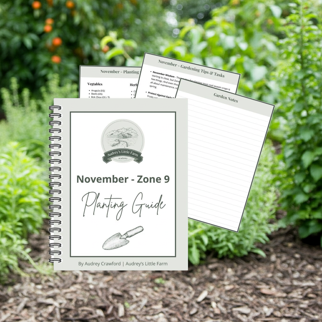 November - Zone 9 Planting Guide