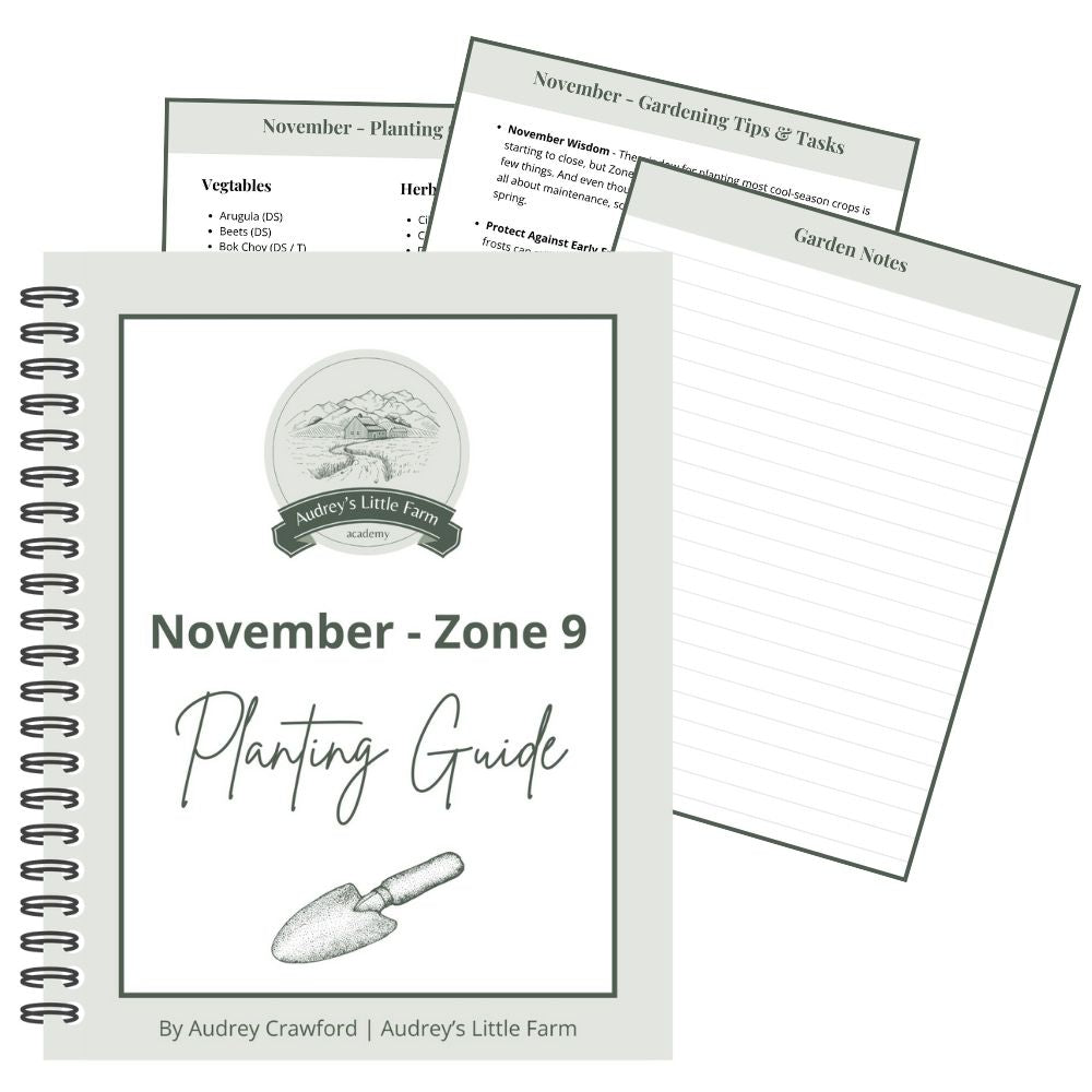 November - Zone 9 Planting Guide