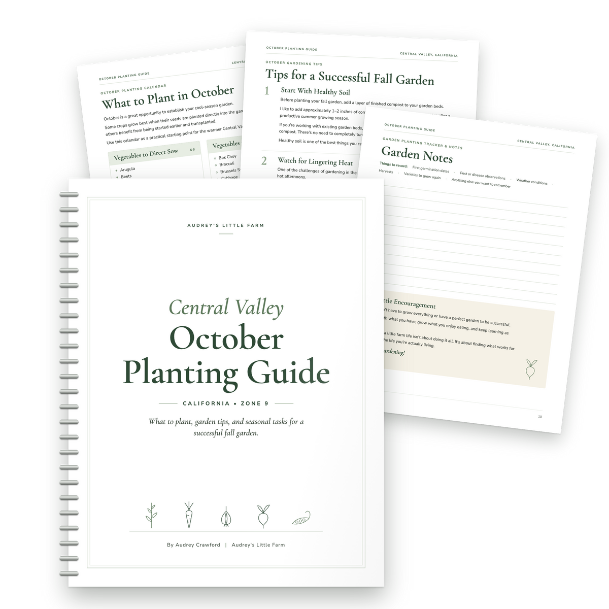 Central Valley October Planting Guide | California Zone 9