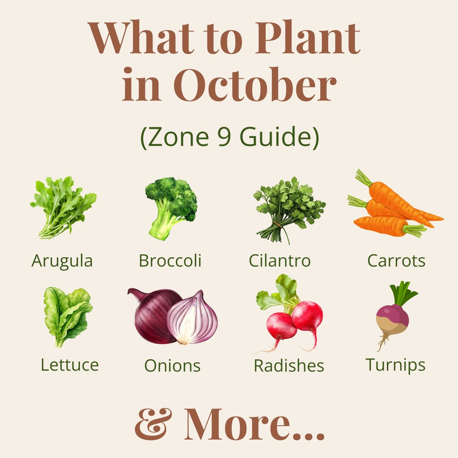 October - Zone 9 Planting Guide