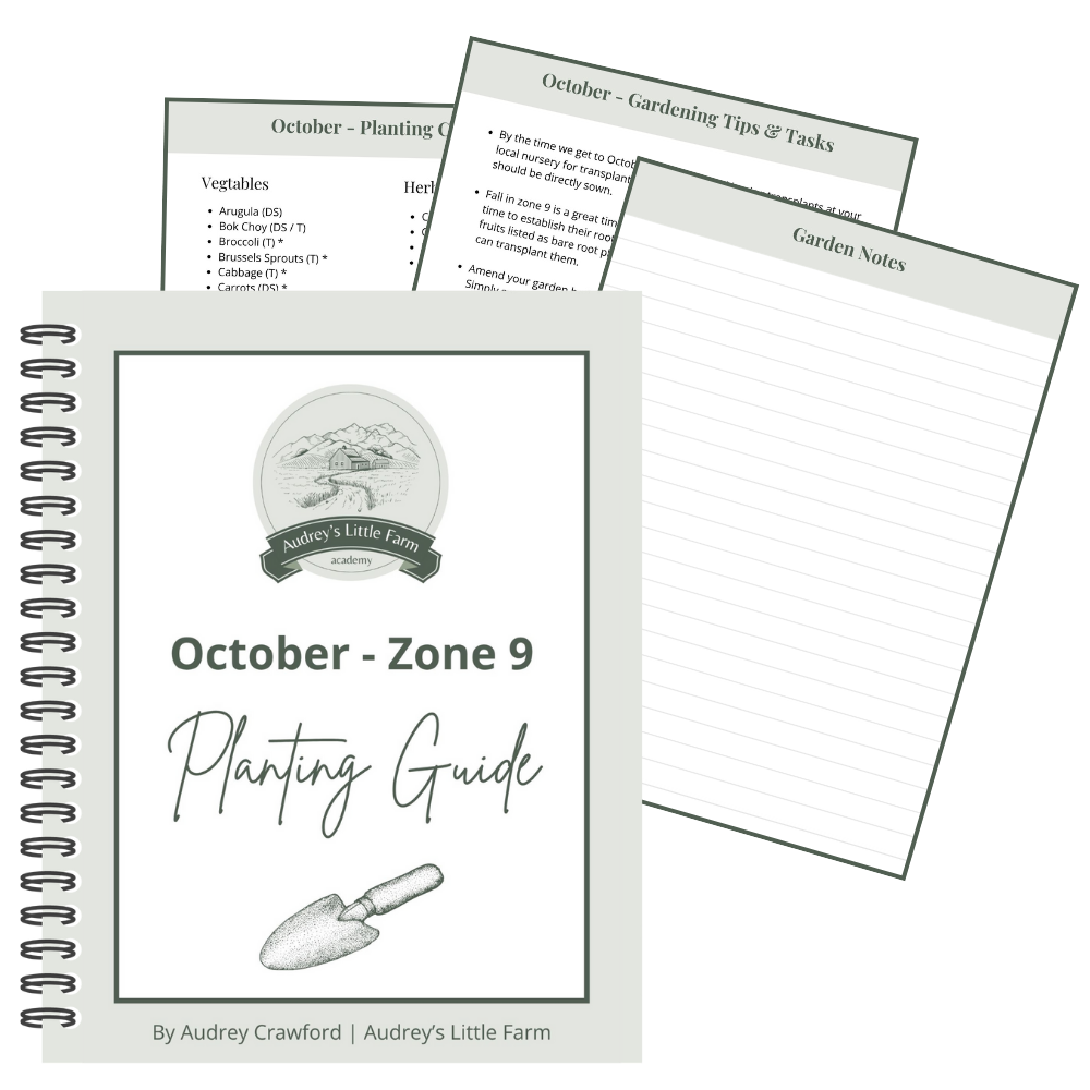 October - Zone 9 Planting Guide