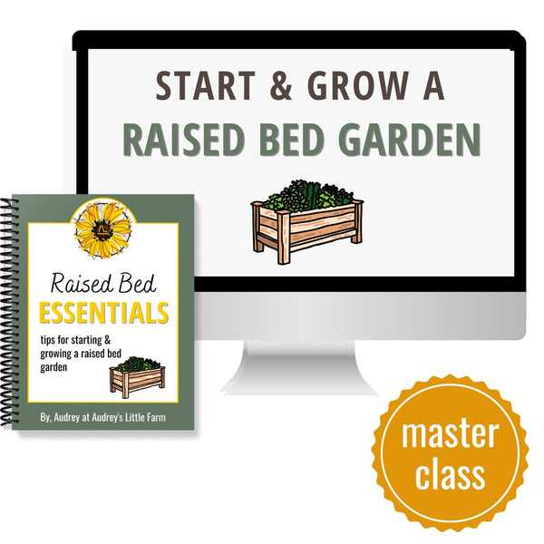 Masterclass: How to Start & Grow a Raised Bed Garden