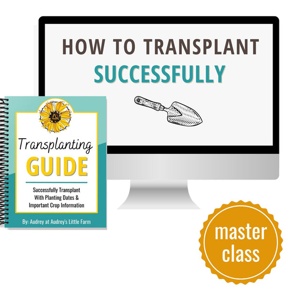 Masterclass: How to Transplant Successfully