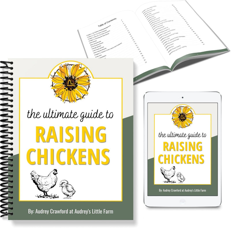 The Ultimate Guide to Raising Chickens