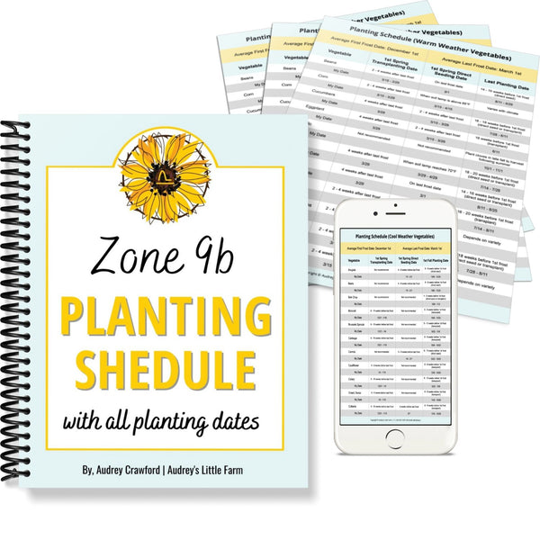 Zone 9 Vegetable Planting Schedule